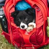 Kurgo Rucksack G-Train K9 Backpack rot Produktbild-Vorschau 14