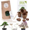 Kit di avviamento per bonsai con eBook  - Set di vasi di Anteprima dell’immagine prodotto 1