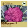 Samenliebe  Blumenkohl Samen | Di Sicilia Violetto - Produktbild-Vorschau 1