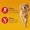 PEDIGREE® BISCROK™ Karton Multi Mix 6 x 500g Produktbild-Vorschau 6
