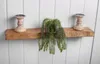 A rustic wooden shelf mounted on a white paneled wall, decorated with two wooden candle holders and a hanging green artificial plant. Produktbild-Vorschau