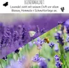 900x Lavendel Samen mit hoher Keimrate - Vielseitig Produktbild-Vorschau 4