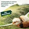 napfpower Heu 16 kg direkt vom Hof | 1. Schnitt Wiesenheu | Produktbild-Vorschau 3