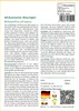 SAFLAX - Afrikanischer Blauregen - Bolusanthus africanus - Produktbild-Vorschau 3