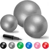 Three gray exercise balls of different sizes are arranged on a white background, with a black air pump in the foreground. Below the balls are smaller colored balls representing different color options. Náhľad obrázku produktu
