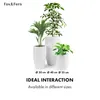 Fox & Fern kvetináč so zátkou, veľký, Ø 30 cm, do Náhľad obrázku produktu 6