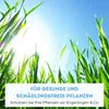 Futeco® – HB-Nematoden gegen Dickmaulrüssler & Engerlinge – Produktbild-Vorschau 5