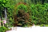 GardenandPools Rosenbogen HOLLAND Lilie-Spitze Gesamtbreite Produktbild-Vorschau 1