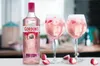 Gordon's Premium Pink Distilled Gin 37,5 % vol. 0,7 L Náhľad obrázku produktu 8