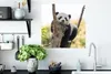 MuchoWow® Poster Panda - Baum - Licht 50x50 cm - Produktbild-Vorschau 3