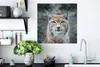 MuchoWow® Poster Porträt eines jungen Luchses 50x50 cm - Produktbild-Vorschau 3