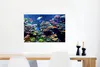 MuchoWow® Poster Koralle - Fische - Aquarium 60x40 cm - Produktbild-Vorschau 5