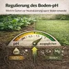 Dolomitkalk 1kg Rasenkalk Moosentferner Gartenkalk Produktbild-Vorschau 2