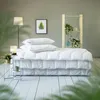 Dunlopillo Home Kopfkissen 40x80 cm | Nachtkissen für alle Produktbild-Vorschau 3