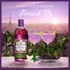 Tanqueray Blackcurrant Royale Gin, Johannisbeer-Aroma, Produktbild-Vorschau 4