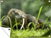 MuchoWow® Vonkajší plagát - Záhradná dekorácia ochrana Náhľad obrázku produktu 1