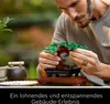LEGO Creator Expert, Drzewko Bonsai, Dekoracja do Domu, Podgląd zdjęcia produktu 36