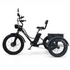E Bike Dreirad Fat E-Bike Lastenfahrrad elektrische dreirad Produktbild-Vorschau 4
