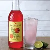 Sirup na limonádu Sweetbird Pink Guava & Lime Lemonade, 1 l Náhľad obrázku produktu 1