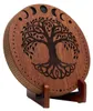 Meinl Sonic Energy Rain Disk 10 pouces, son de ruisseau Voir les images du produit 4