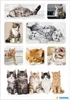 Herma DECOR Sticker Katzenkinder weiß 3 Blatt 24 Sticker Produktbild-Vorschau 3