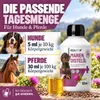 REAVET Mariendistelöl für Hunde & Pferde 500ml – Naturrein Produktbild-Vorschau 4