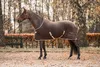 Potní kobereček Equinate Nevada z fleecu s křížovými Náhled obrázku produktu 3