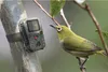 A small bird is perched on a branch, looking at a trail camera attached to a tree. Produktbild-Vorschau