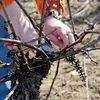 BAHCO Ergo Pro Einhand-Gartenschere aus gehärtetem Stahl Produktbild-Vorschau 8
