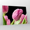 Bilder auf glas - Tulpe Blumen Tau - 100x70cm - Glasbilder Produktbild-Vorschau 4