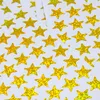 Oblique Unique 600 Sterne Sticker Stern Aufkleber mit Holo Produktbild-Vorschau 4