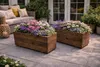 Grande jardinière rectangulaire – Jardinière moderne, Voir les images du produit 4