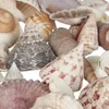 Relaxdays Decoratieset met schelpen, XL-mix met grote Productafbeelding-voorbeeld 8