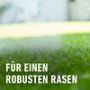 COMPO Rasen-Langzeitdünger 15 kg für 600 m² Rasendünger Produktbild-Vorschau 4