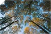 ARTland Poster Herbst im Wald Größe: 30x20 cm Produktbild-Vorschau 1