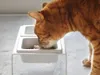 Ciotola per cibo Yamazaki ciotola per acqua per cani gatti Anteprima dell’immagine prodotto 5