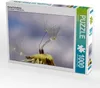 Calvendo Kleine Fallschirme 1000 Teile Puzzle quer Produktbild-Vorschau 1
