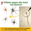 Spinnen Klebefalle mit Spezial-Lockstoff – 3x Fallen – Produktbild-Vorschau 2
