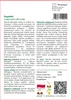 SAFLAX - Nagietek - 50 Nasiona - Calendula officinalis Podgląd zdjęcia produktu 3