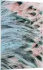 Bilder auf glas - Einteilig - Federn Federn Vogel - Produktbild-Vorschau 1
