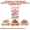 Royal Canin Buste Fresche Kitten Instinctive in Salsa Voir les images du produit 3