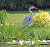 Fischreiher Gartenfigur Teichdeko Gartenteich Schreck Produktbild-Vorschau 2