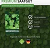 A product image for premium seeds, featuring a packet of winterpostelein seeds and promotional text. Produktbild-Vorschau