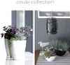 A collage showing two different arrangements of plants in pots, with text at the top. Anteprima dell’immagine prodotto