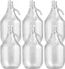 lilawelt24 6x 5L Glasballon Gallone mit Bügelverschluss und Produktbild-Vorschau 1