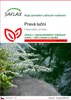 SAFLAX - Pravá luční - Filipendula ulmaria - 500 Semena Náhled obrázku produktu 1