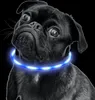 CHPN – Collare LED per cani – collare luminoso – collare Anteprima dell’immagine prodotto 2