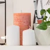 Three candles and a potted plant are arranged on a shelf. Produktbild-Vorschau