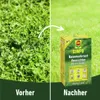 Compo Rasenunkrautvernichter Banvel Quattro 150 ml Produktbild-Vorschau 8