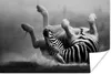 MuchoWow® Poster Zebra - Tiere - Schwarz - Weiß 60x40 cm - Produktbild-Vorschau 1